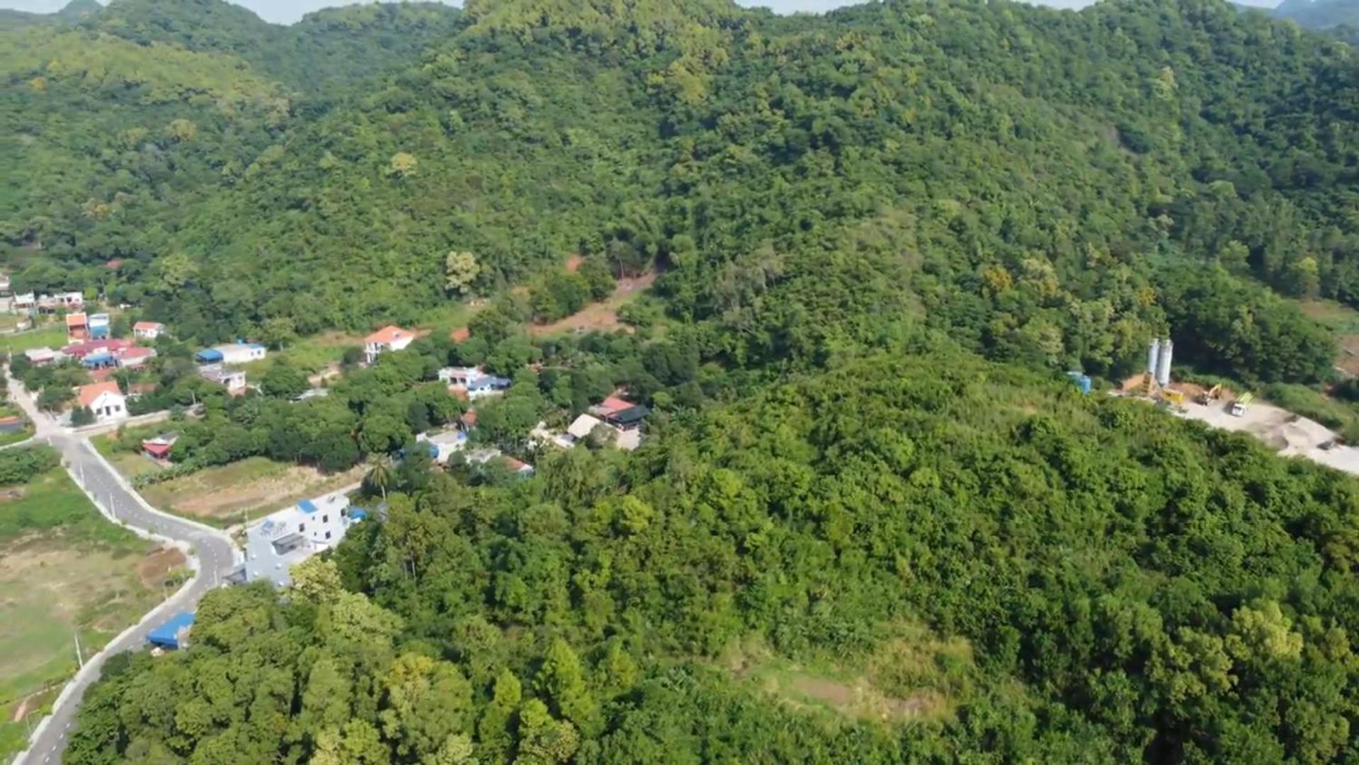 Bee Lucky Homestay Xuan Dam Экстерьер фото